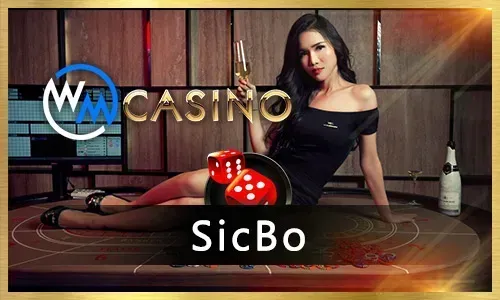 Online Casino Platform